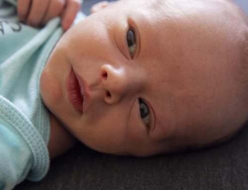Baby Synth David Michael