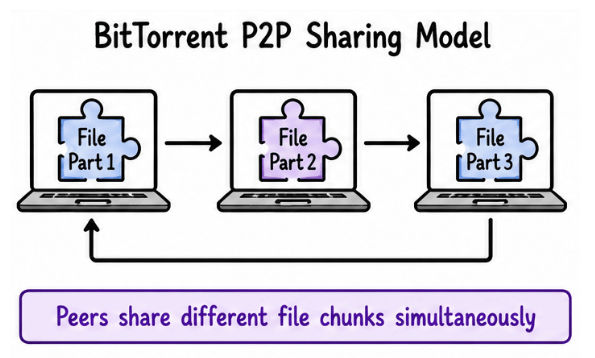 BitTorrent P2P sharing Model