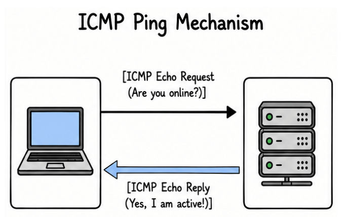 Internet Control Message Protocol workflow