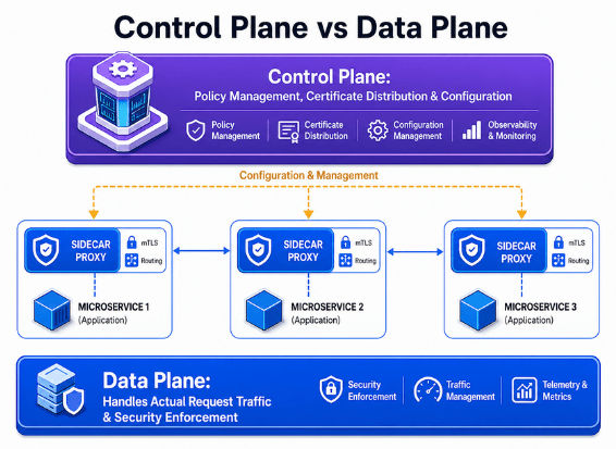 Difference Between Control Plane and Data Plane Difference Between Control Plane and Data Plane diagram