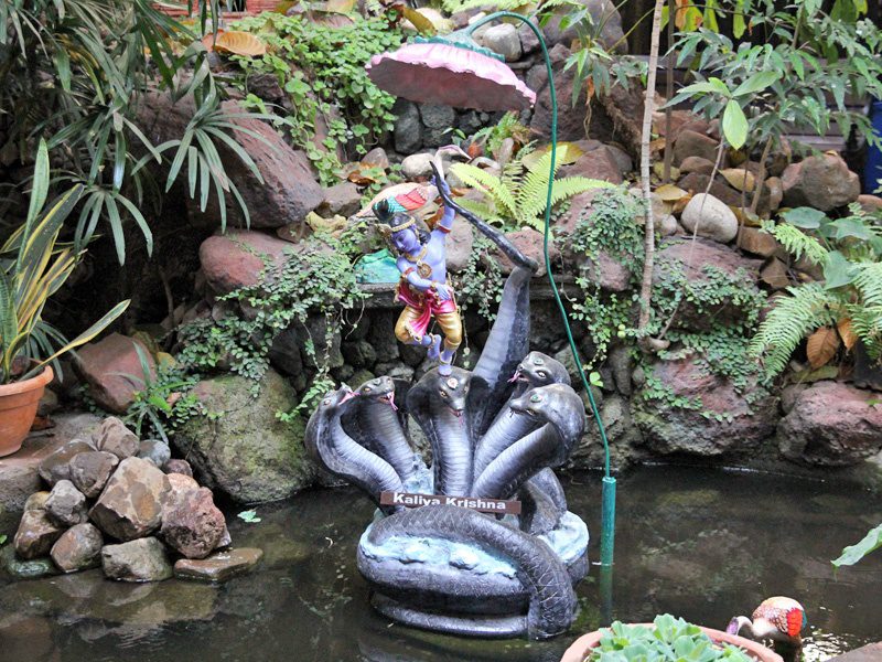 Kaliya-Krishna