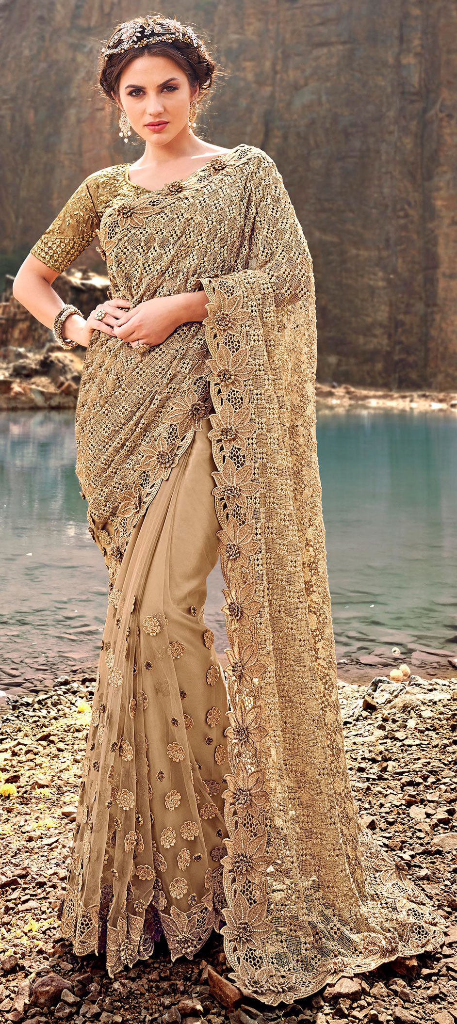 Bridal Engagement Wedding Beige And Brown Color Net Fabric Saree 1621523 8022