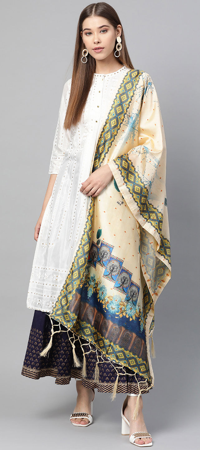 Beige printed dupatta main image 0