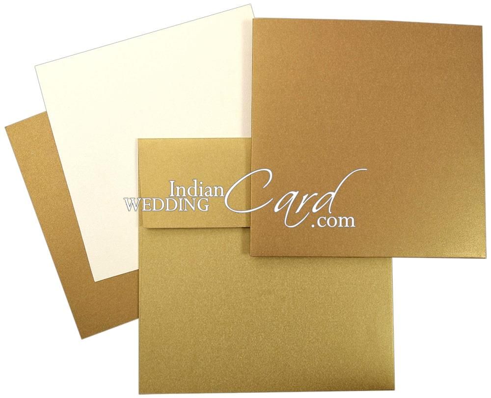 A6 Vellum/Matte Clear Cash envelopes with custom divider tabs and vinyl  labels