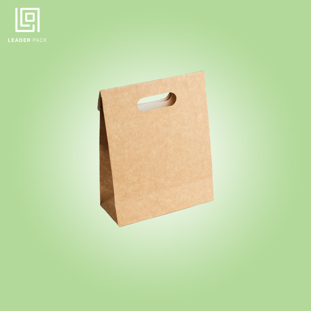 Paper Bag With Cut Handle