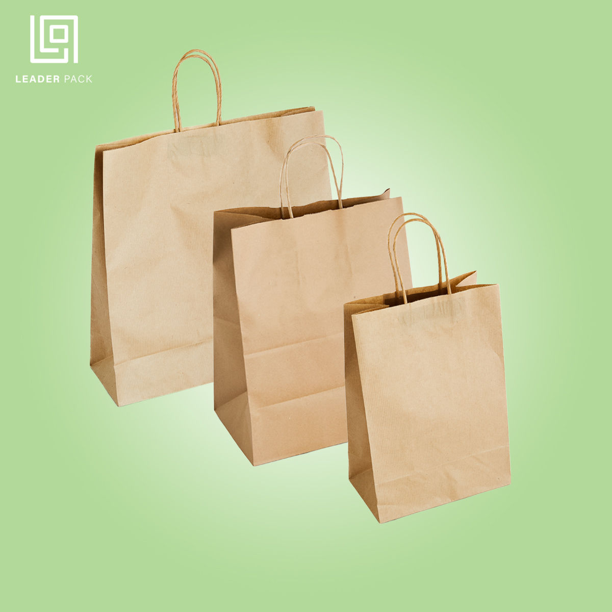Paper Bags With Twisted Handle