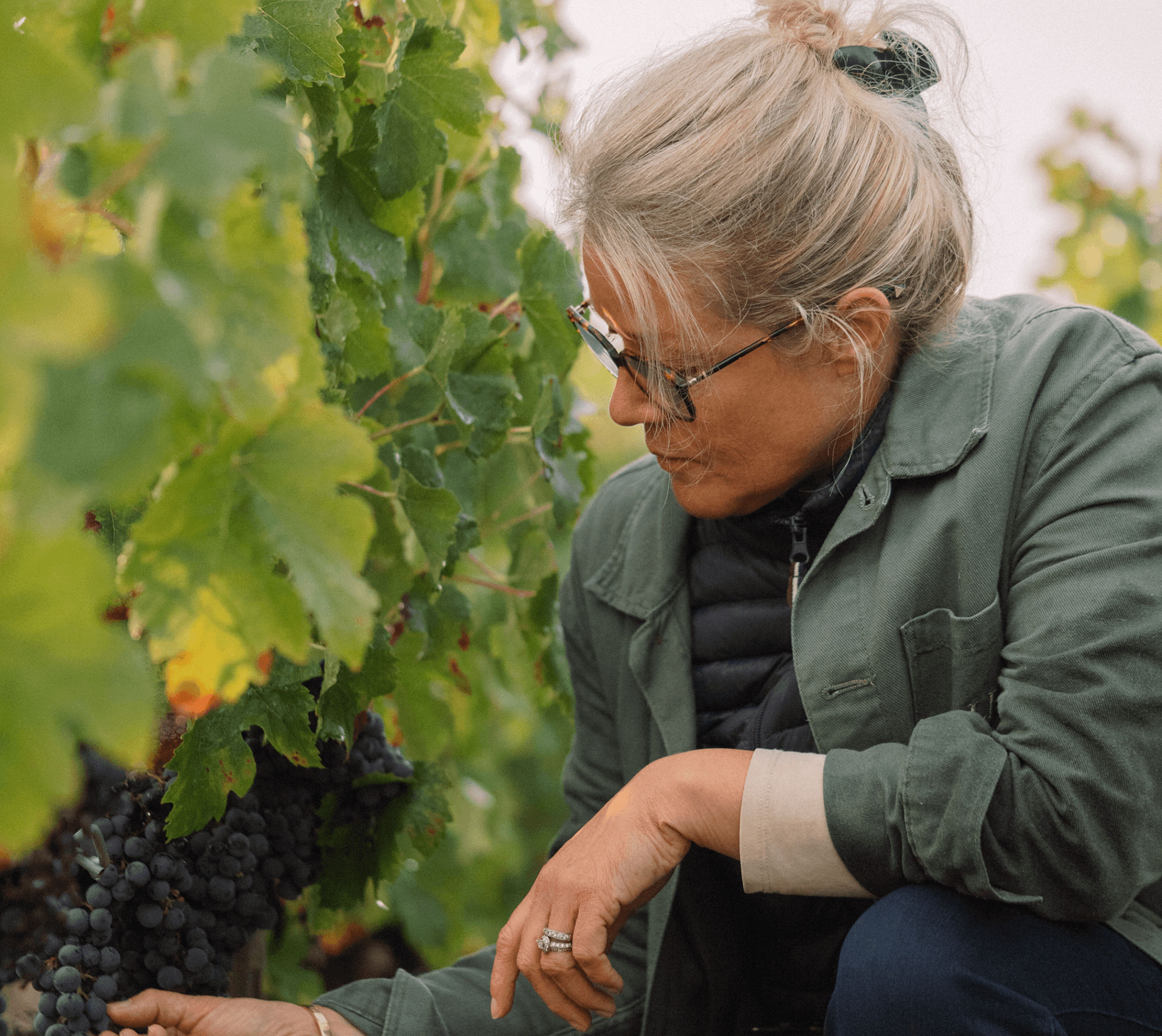 25 années de vendanges d’Isabelle Davin - Chateau Le Crock