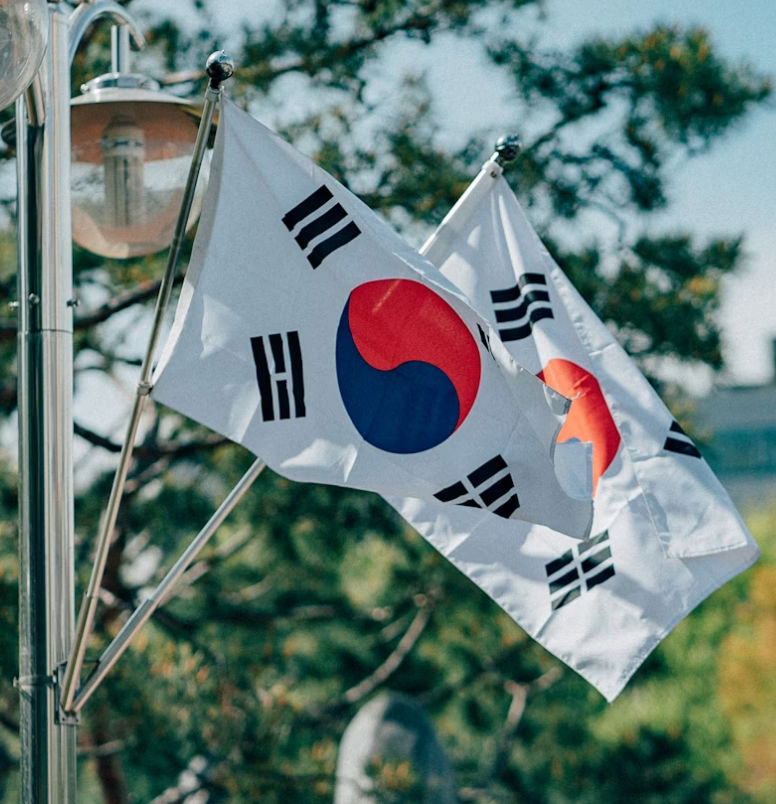 JasonKorea (jasonbuzz.lens) Lens social identity (.lens handle) PFP