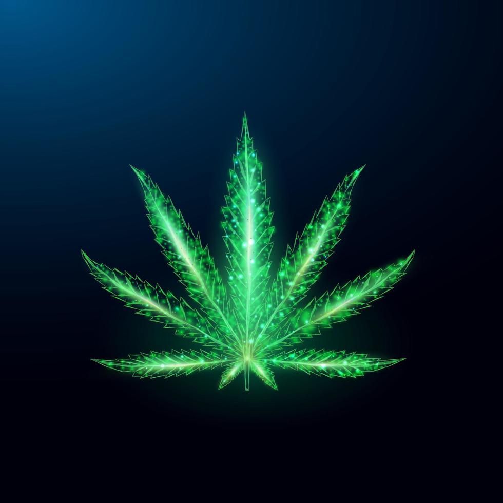 Leaflow LLM's Lens avatar
