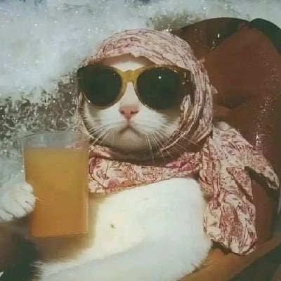 Shahriar Nafiz's Lens avatar