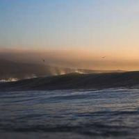 Lorenzo (wzardhogcher9.lens) Lens social identity (.lens handle) PFP