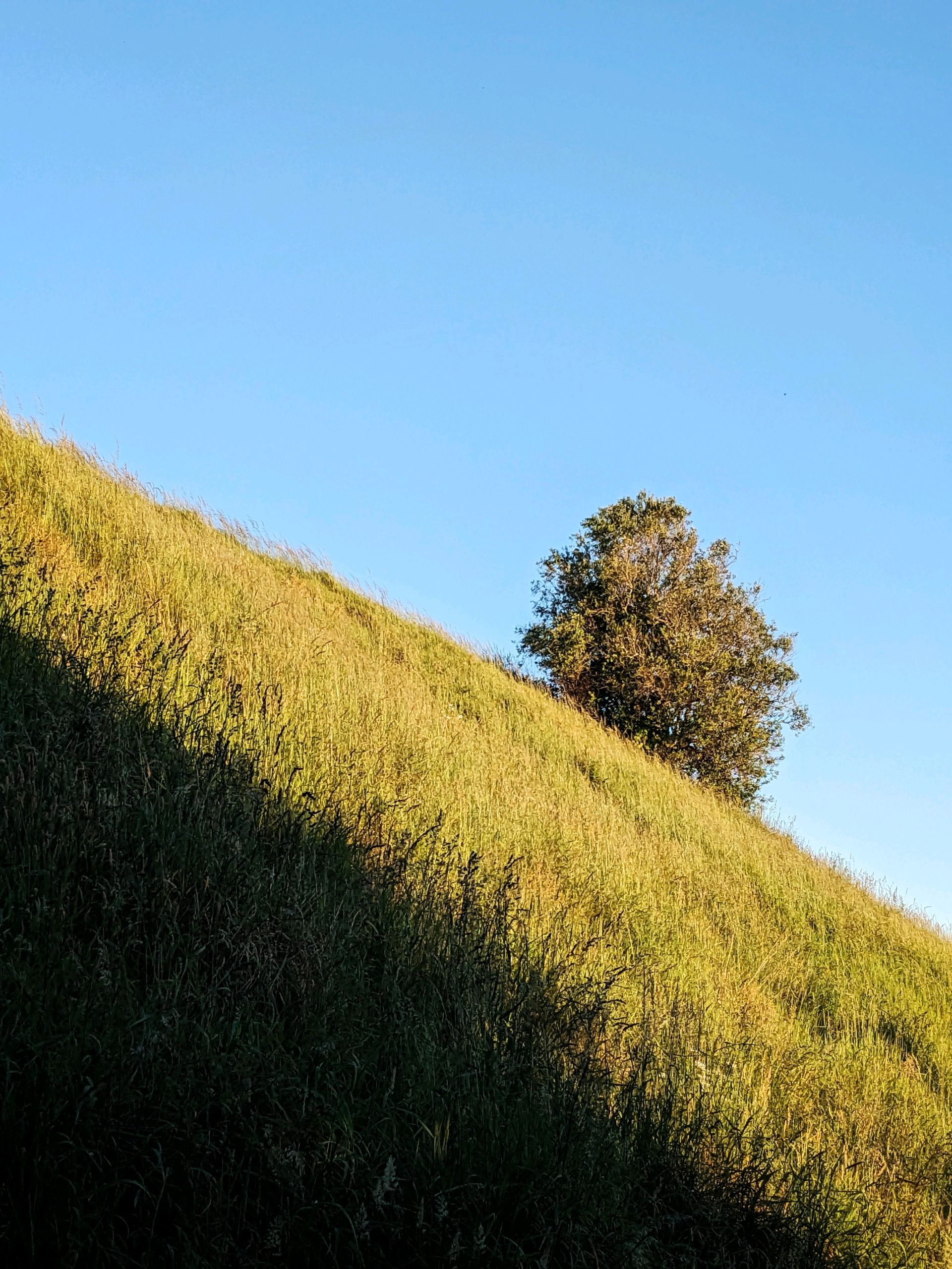 Post image: Sentinel observer

📷 2025
*never published before (Lens exclusive)