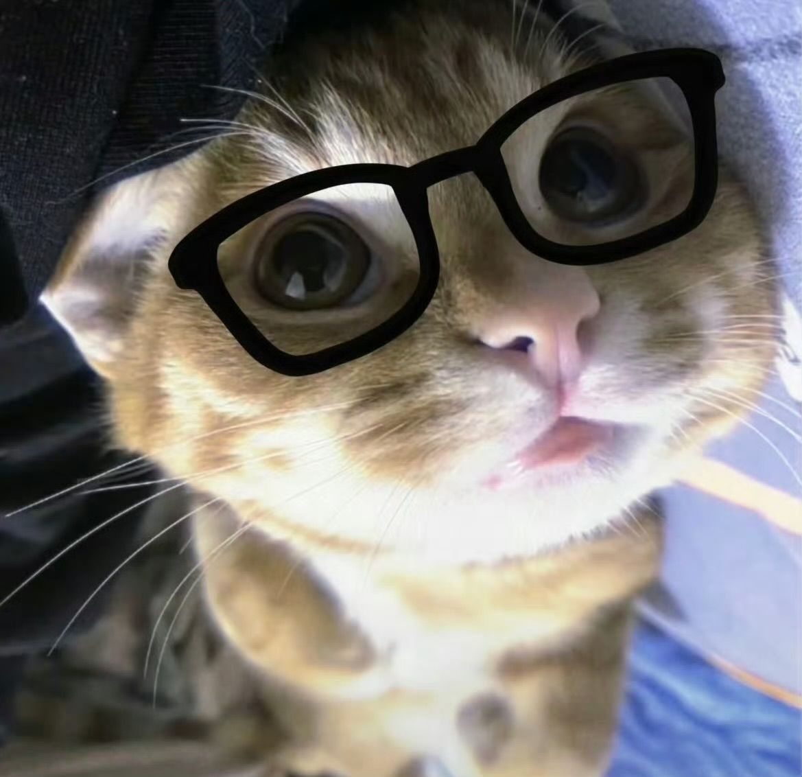 xun~bro (xunbro.lens) Lens social identity (.lens handle) PFP