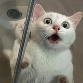 Mas (perfomatic.lens) Lens social identity (.lens handle) PFP