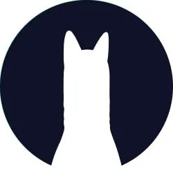 mosesneon (mosesneon.lens) Lens social identity (.lens handle) PFP