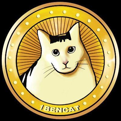 wafa's Lens avatar