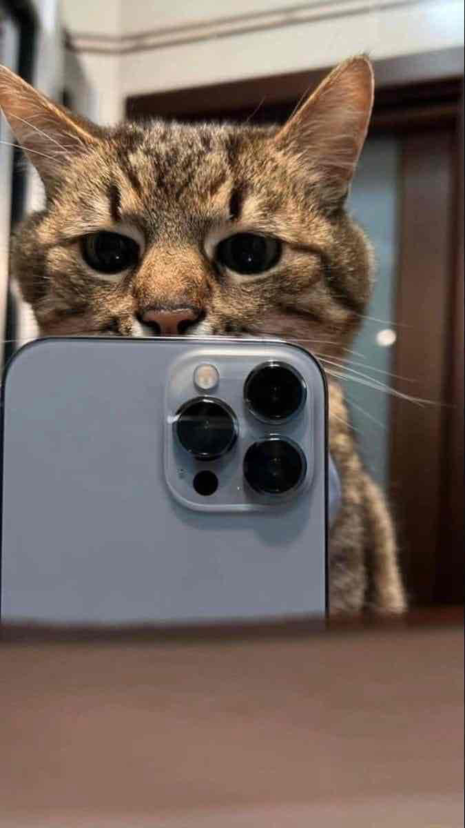 DhoziL's Lens avatar