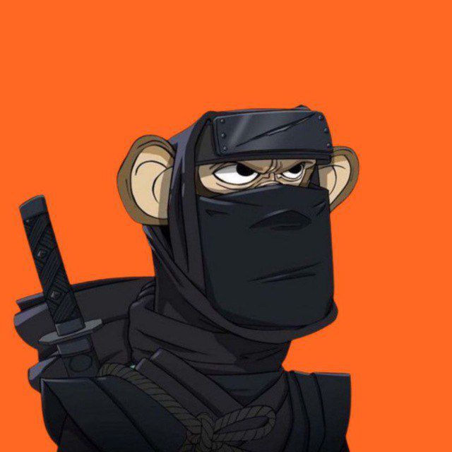 vsguar (vsguar.lens) Lens social identity (.lens handle) PFP