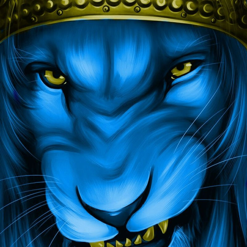 Antidote's Lens avatar