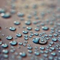 helm_blackseeker.lens Lens social identity (.lens handle) PFP