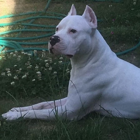 levent (leventerkul.lens) Lens social identity (.lens handle) PFP