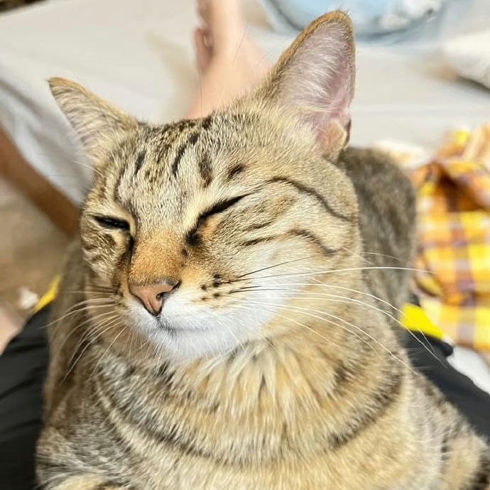 erhe3w5.lens Lens social identity (.lens handle) PFP