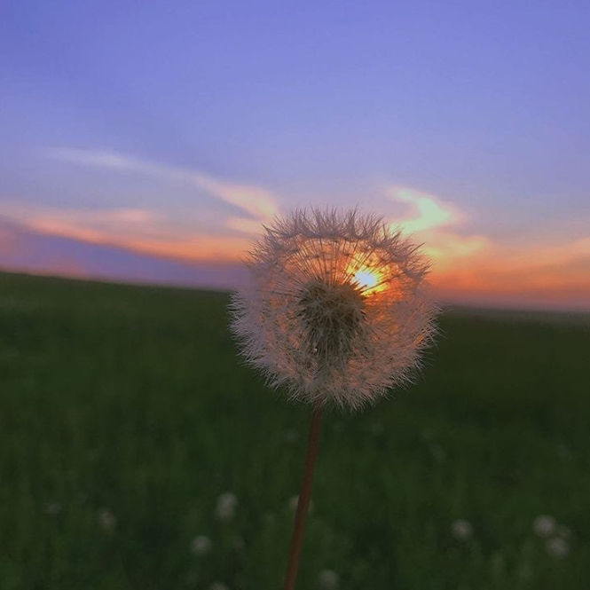 winnieee.lens Lens social identity (.lens handle) PFP