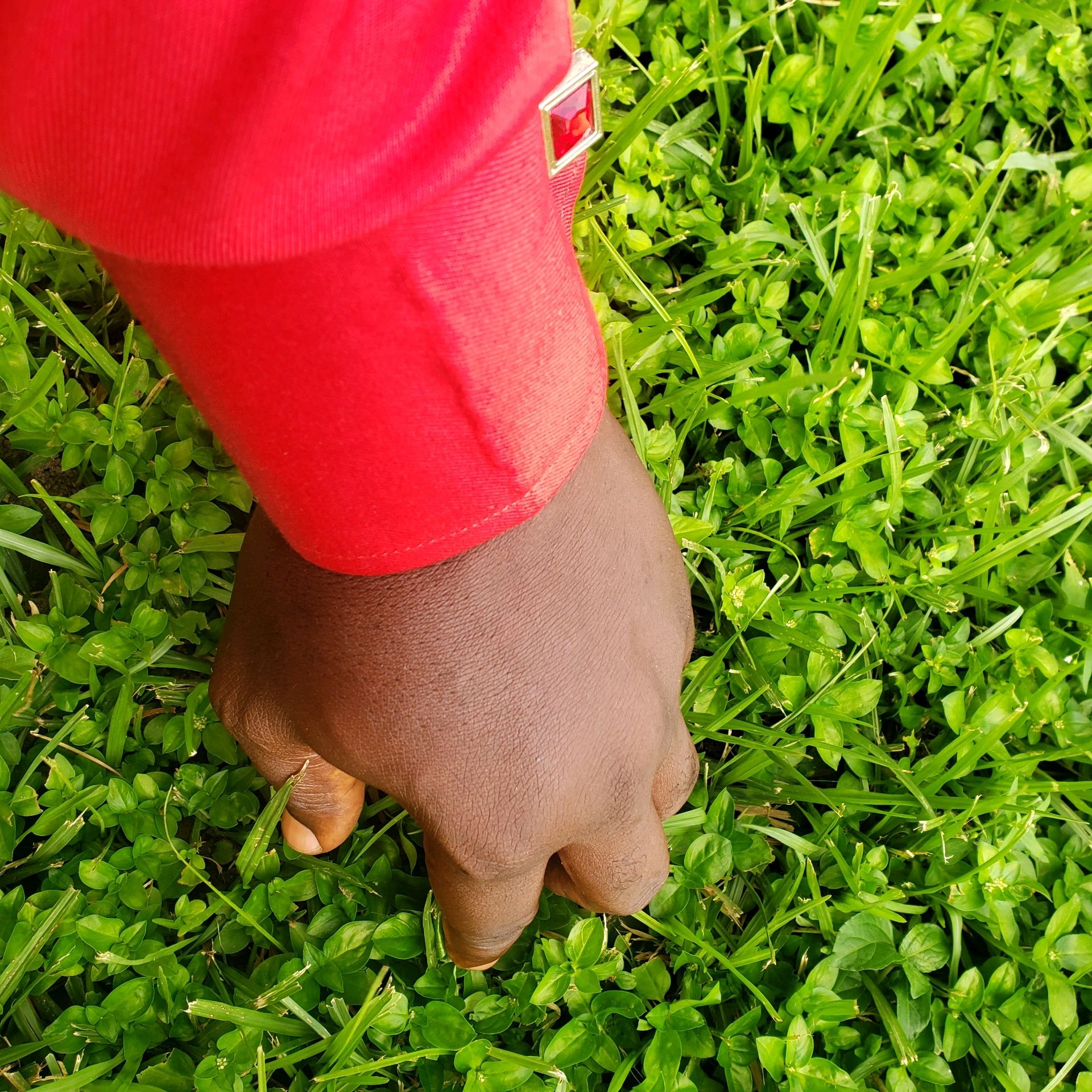 Cryptomaniac (tojas900.lens) Lens social identity (.lens handle) PFP