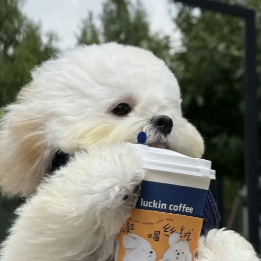 Jett (jjuuuuhhh.lens) Lens social identity (.lens handle) PFP