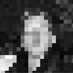 txncl's Lens avatar