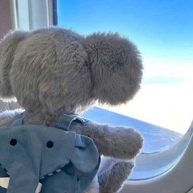 songeonhee.lens Lens social identity (.lens handle) PFP