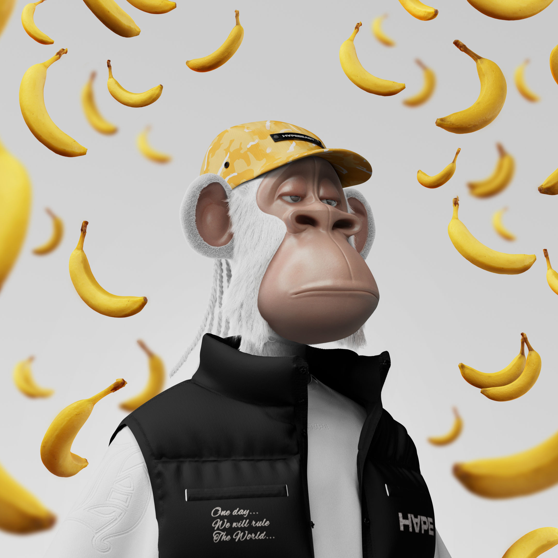 joesoftheart's Lens avatar