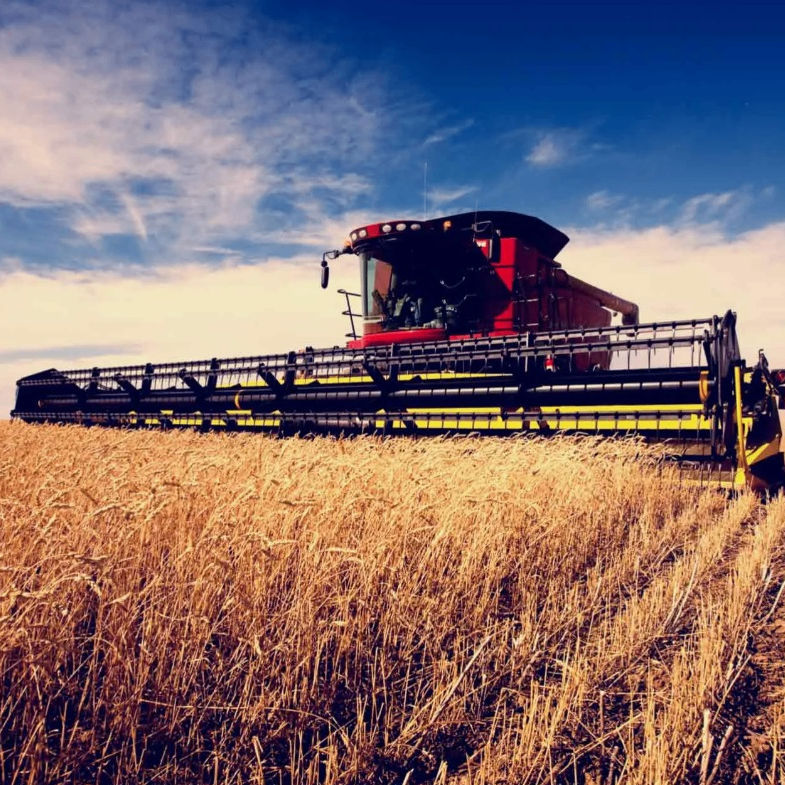 hasan69.eth Ethereum Name Service (ENS and .eth domain) PFP