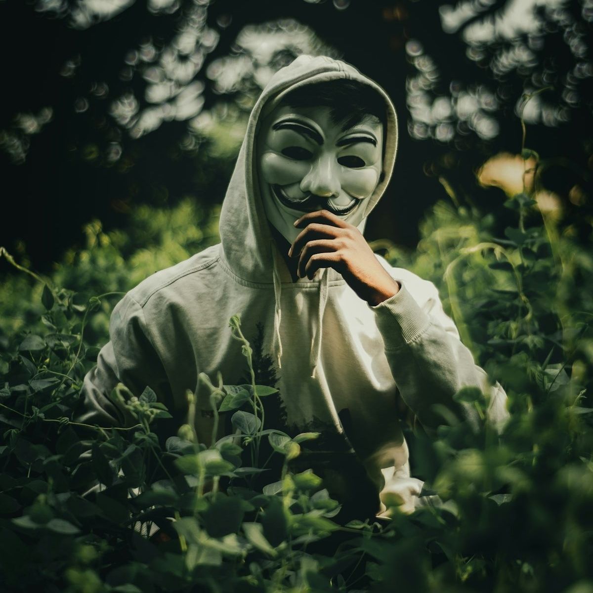 lajukoncrypto's Lens avatar