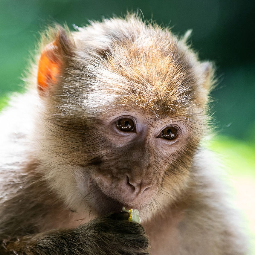 annakirillya1 (annakirillya1.lens) Lens social identity (.lens handle) PFP