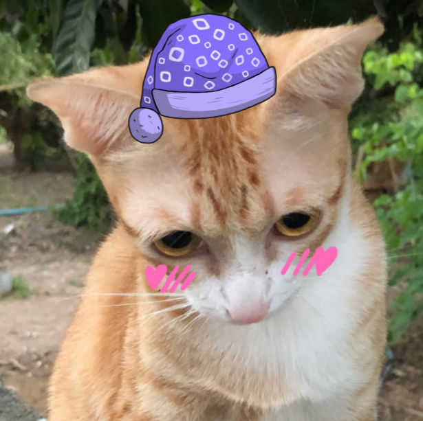 Gameyongx's Lens avatar