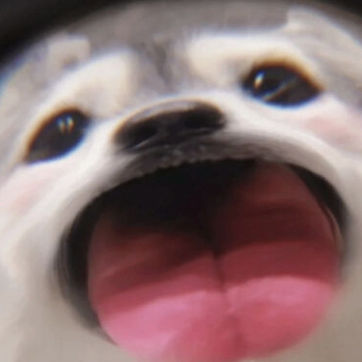 Winged (vividfever.lens) Lens social identity (.lens handle) PFP