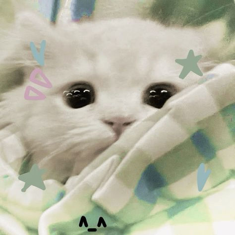 Hà Huy Hoàng (dgjkroxie.lens) Lens social identity (.lens handle) PFP