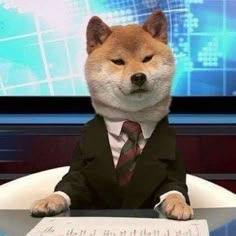 Ngô Thanh Phong (sjsjsjsn.lens) Lens social identity (.lens handle) PFP