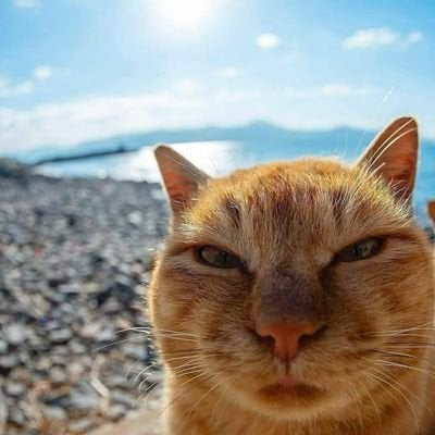 Abangda's Lens avatar