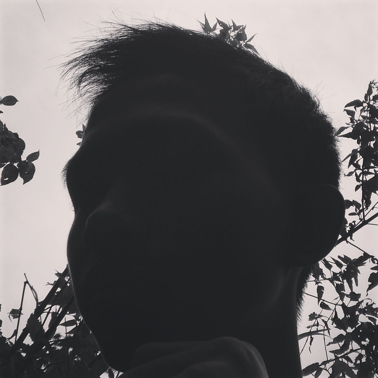 aldocedok's Lens avatar