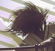 Black's Lens avatar