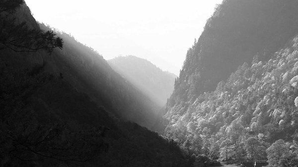 stevenburns's Lens avatar