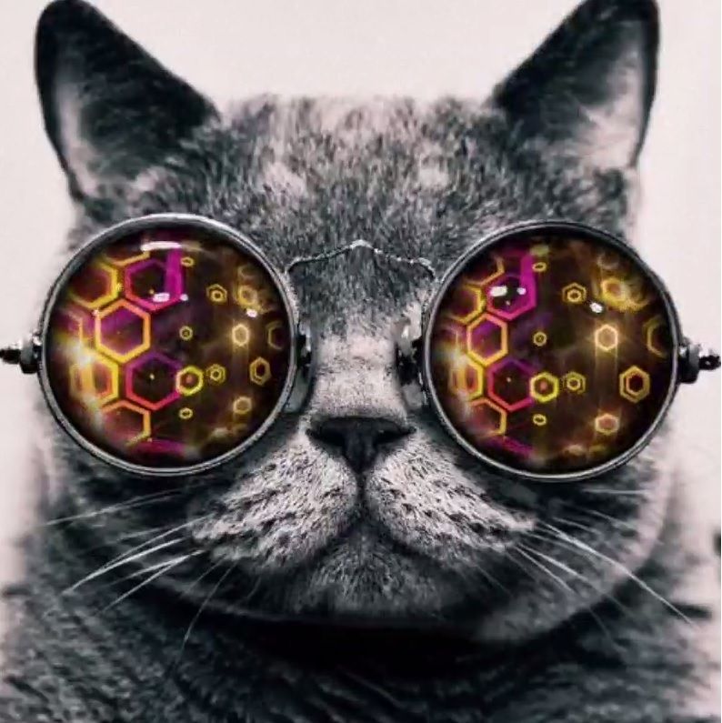 Ov3r1ord (ov3r1ord.lens) Lens social identity (.lens handle) PFP