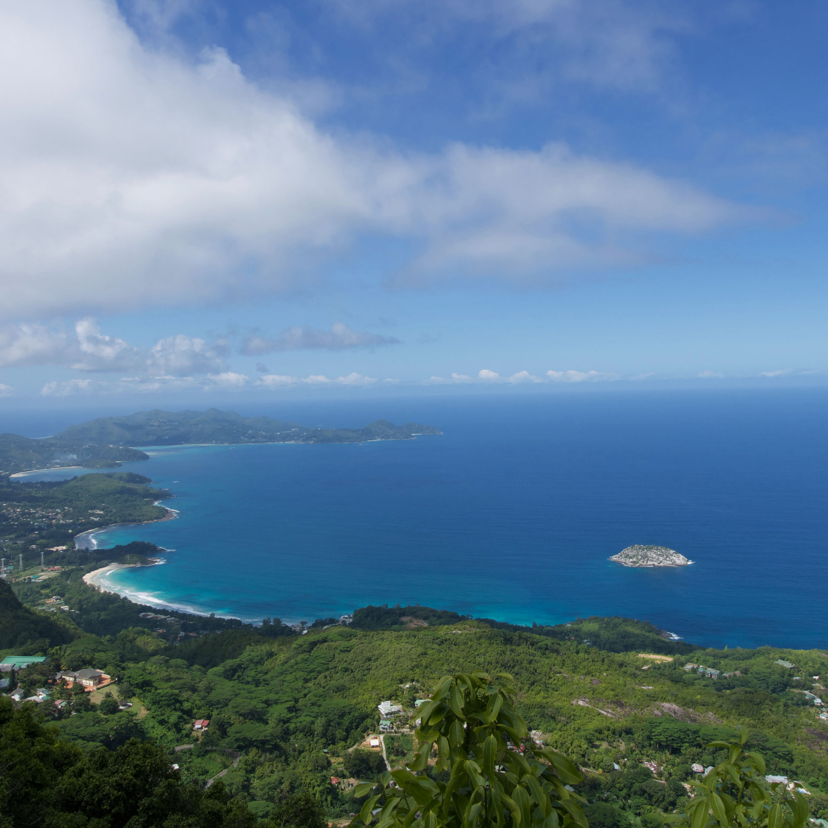 han (handhandd.lens) Lens social identity (.lens handle) PFP