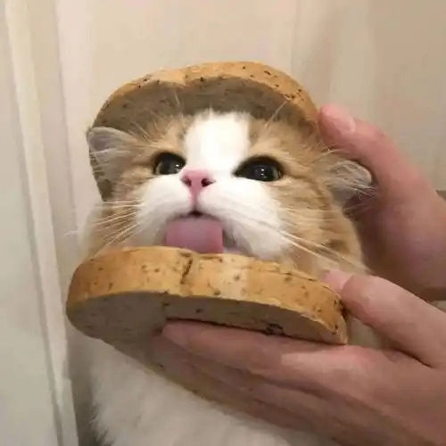 interest.microbank.eth Ethereum Name Service (ENS and .eth domain) PFP