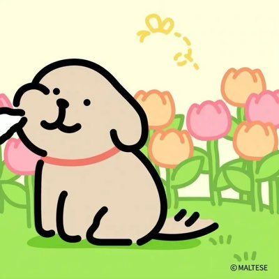 ableaaaa's Lens avatar