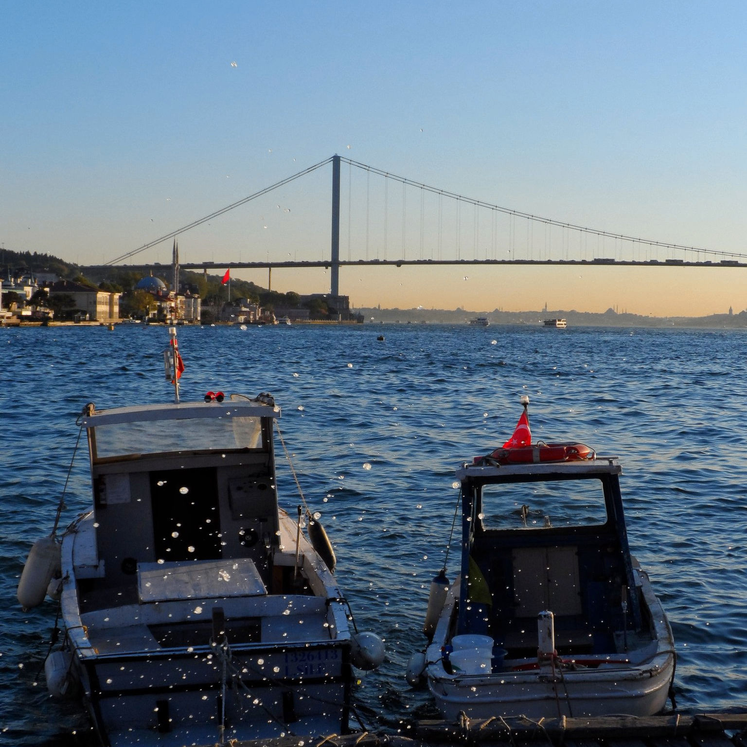 ece (ryanlochte.lens) Lens social identity (.lens handle) PFP