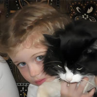 roiluy's Lens avatar