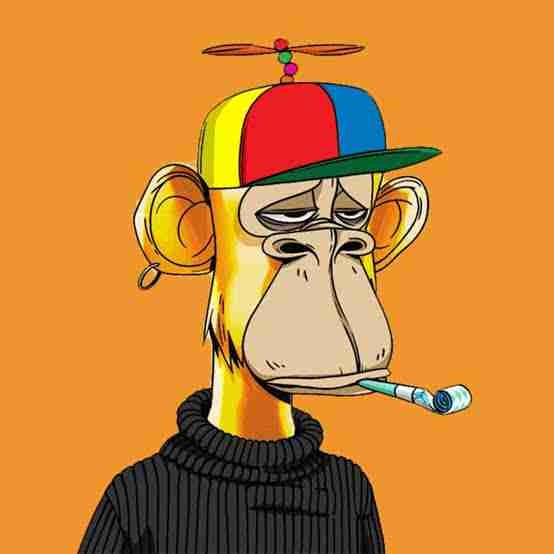 Kepin's Lens avatar